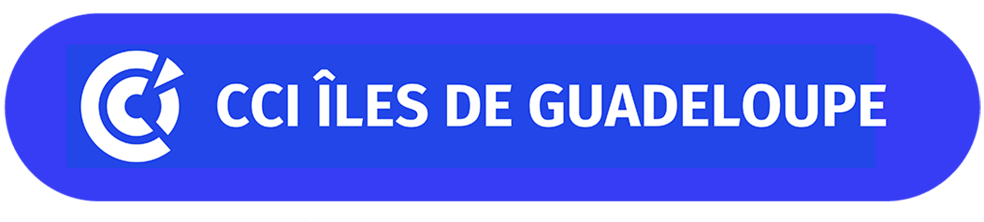 Logo CCI.png (111 KB)